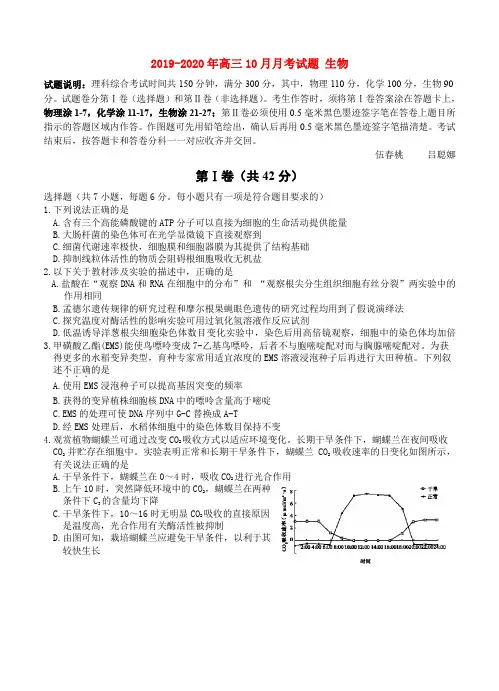 2019-2020年高三10月月考试题 生物
