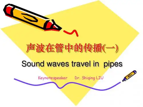 声波在管中的传播讲稿(一)