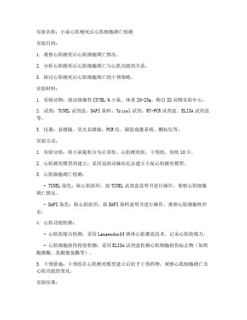 标准动物实验报告
