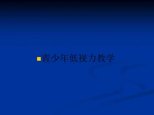青少年低视力ppt课件