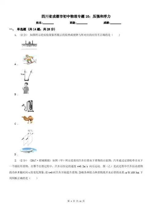 四川省成都市初中物理专题10：压强和浮力