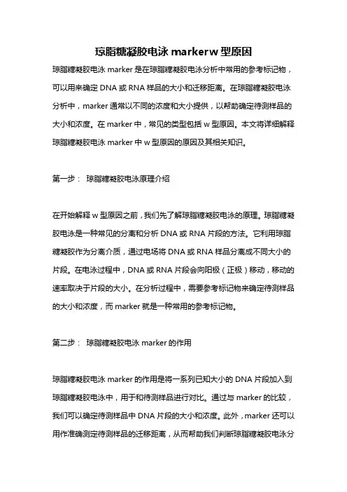 琼脂糖凝胶电泳markerw型原因