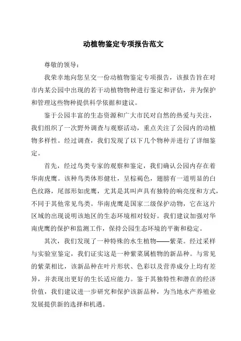动植物鉴定专项报告范文