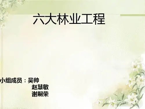 六大林业工程