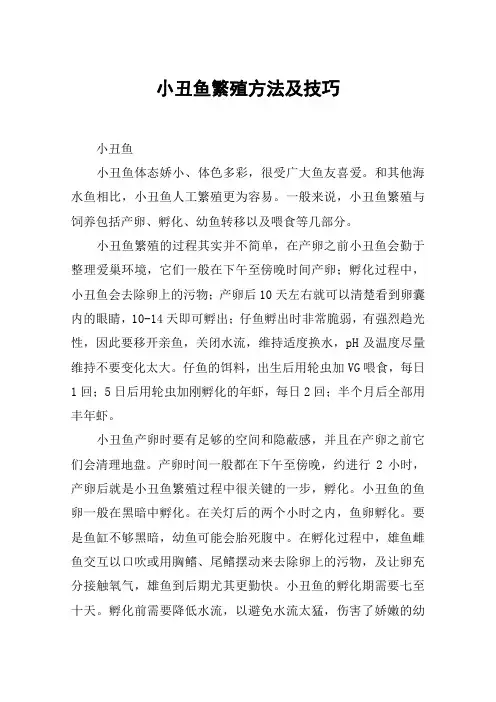 小丑鱼繁殖方法及技巧