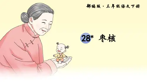 部编版三年级下册语文《枣核》PPT教学课件