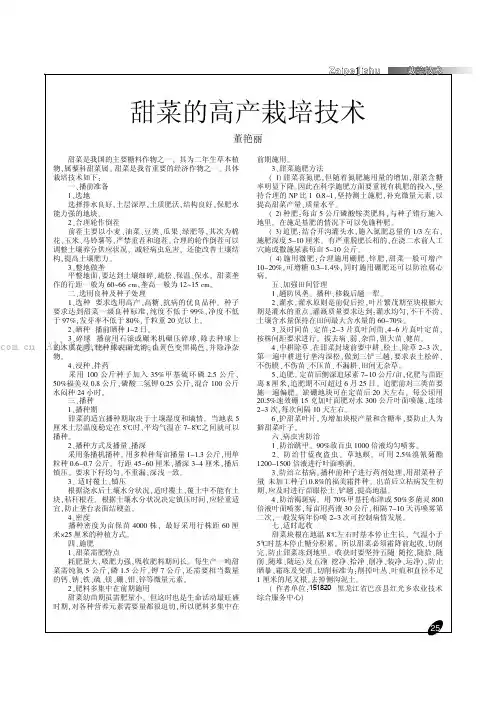 甜菜的高产栽培技术