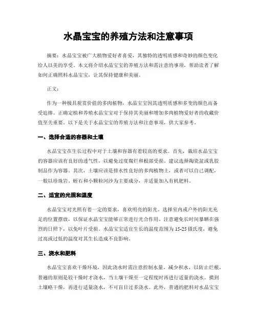 水晶宝宝的养殖方法和注意事项