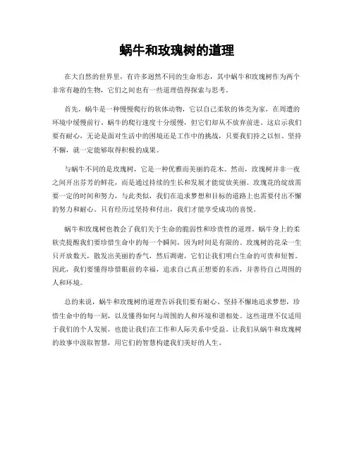 蜗牛和玫瑰树的道理