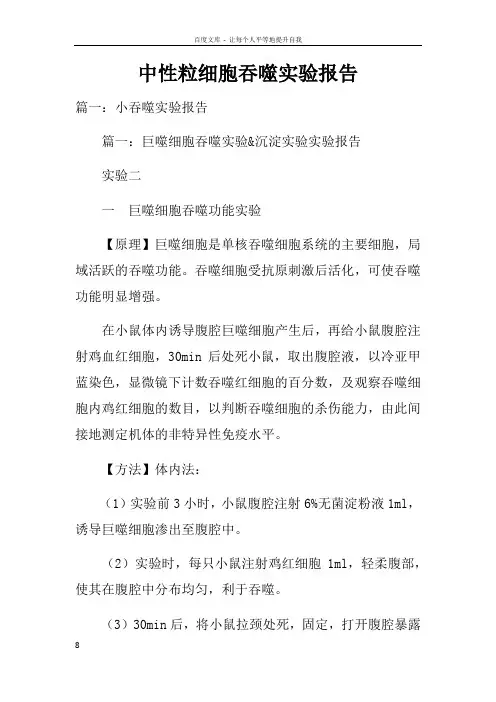 中性粒细胞吞噬实验报告