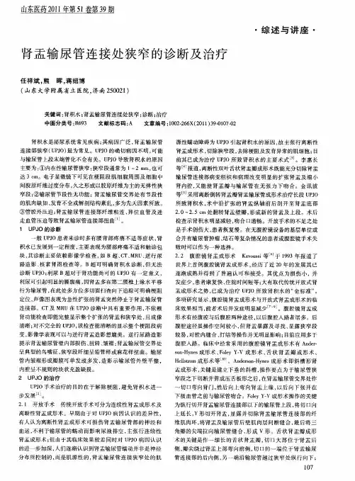 肾盂输尿管连接处狭窄的诊断及治疗