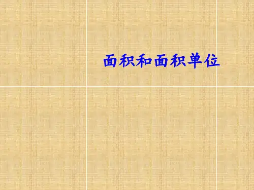 三年级下册数学课件-《面积和面积单位》 人教新课标(2014秋)共22张PPT)