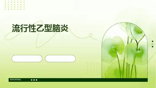 流行性乙型脑炎
