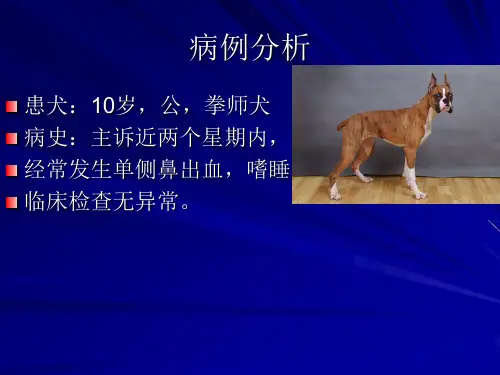 兽医临床病理学：病例分析(蛋白)