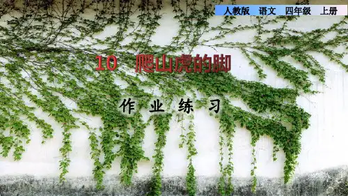 爬山虎的脚作业练习设计(校本班本作业)统编版四年级语文上册