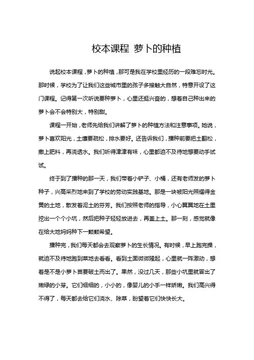 校本课程 萝卜的种植