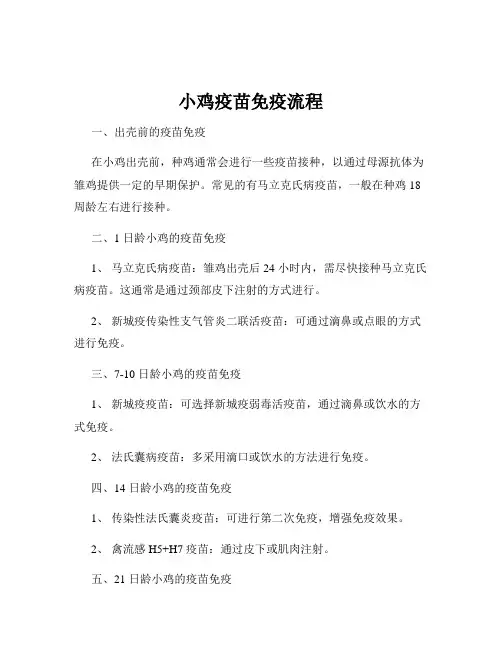 小鸡疫苗免疫流程