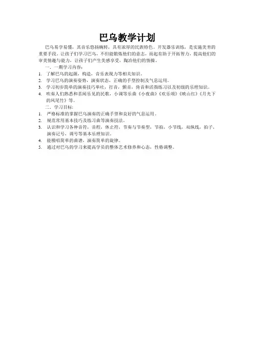 巴乌教学计划