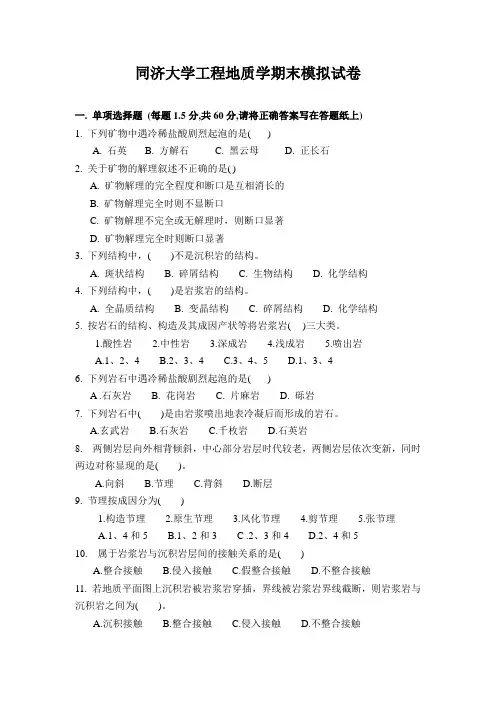 同济大学工程地质学期末模拟试卷