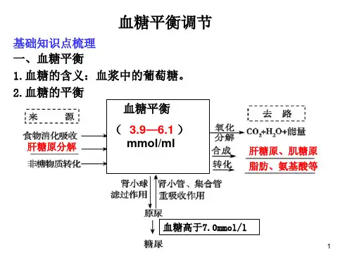 血糖调节资料ppt课件