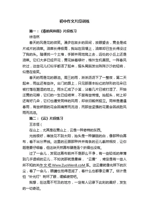 初中作文片段训练