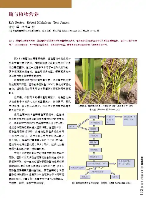 硫与植物营养
