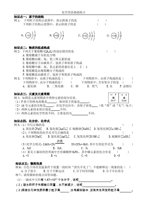 人教版九年级化学上册专题复习微粒化学用语复习(含答案)