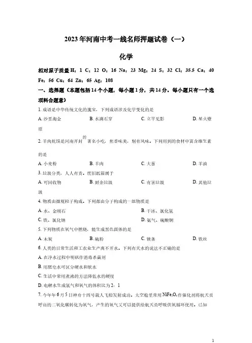 2023年河南省信阳市中考一模化学试题解析版