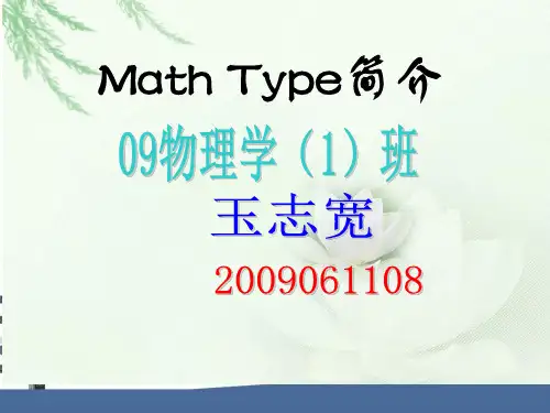 Math Type简介
