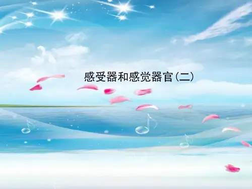 感受器和感觉器官PPT教学课件