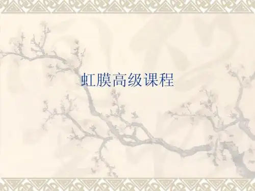 虹膜高级课程肠环