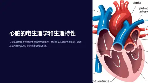 心脏的电生理学和生理特性