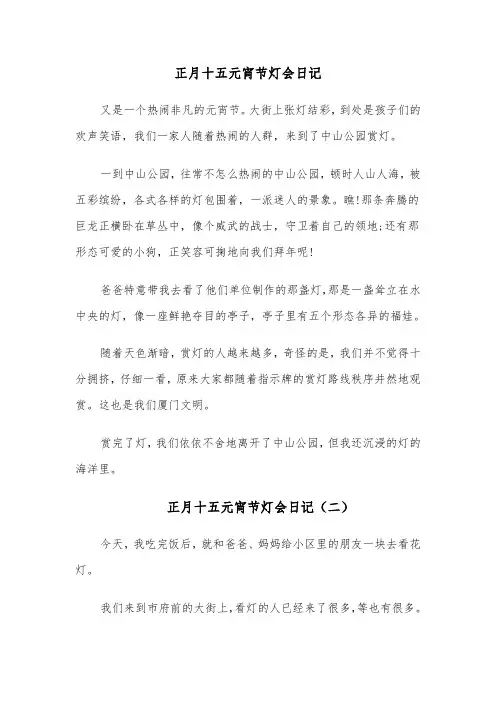 正月十五元宵节灯会日记(八篇)