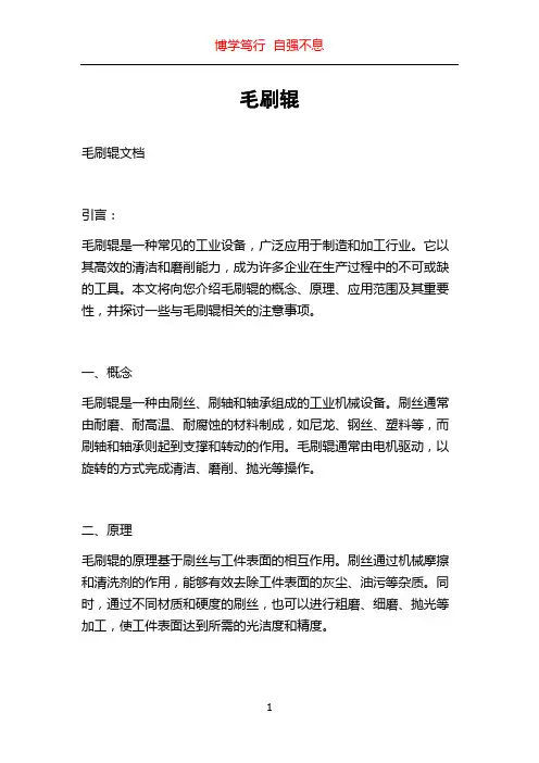 毛刷辊_精品文档