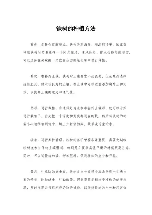 铁树的种植方法