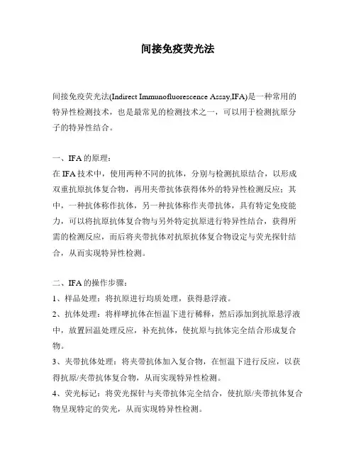 间接免疫荧光法