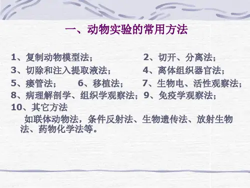 动物实验的基本操作方法
