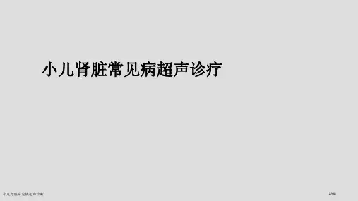 小儿肾脏常见病超声诊断