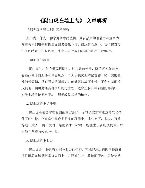 《爬山虎在墙上爬》 文章解析