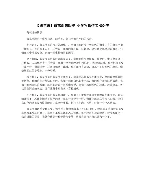 【四年级】荷花池的四季 小学写景作文400字