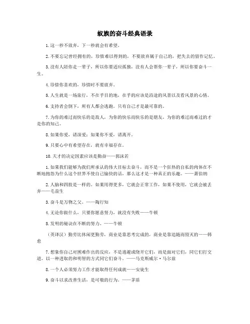 蚁族的奋斗经典语录