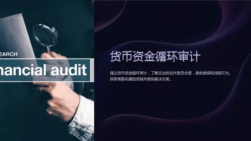 《货币资金循环审计》课件