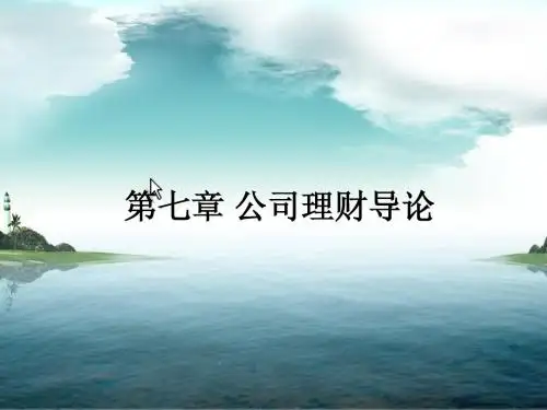 第七章 公司理财导论