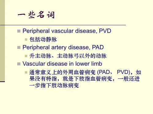 糖尿病周围血管病变