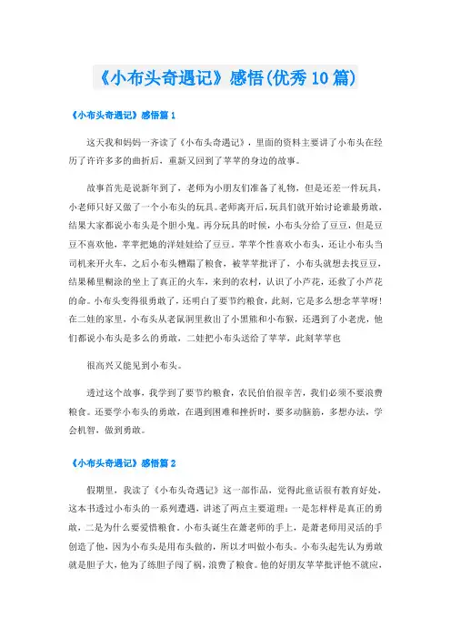 《小布头奇遇记》感悟(优秀10篇)