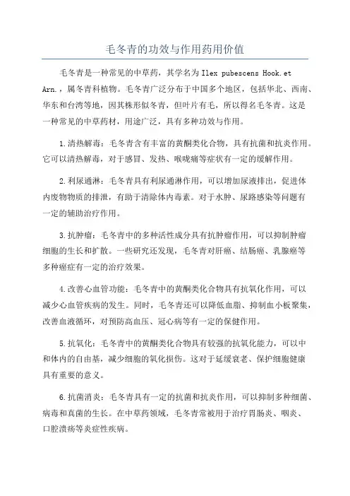 毛冬青的功效与作用药用价值