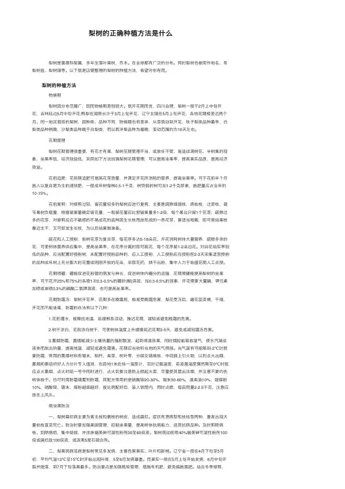 梨树的正确种植方法是什么