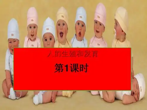 人的生殖和发育 PPT课件5 北师大版