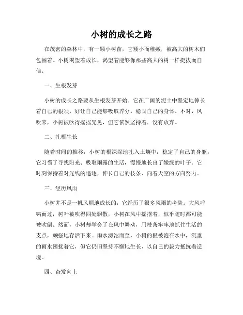 小树的成长之路