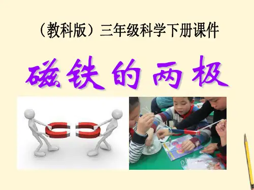 《磁铁的两极》磁铁  优秀PPT课件